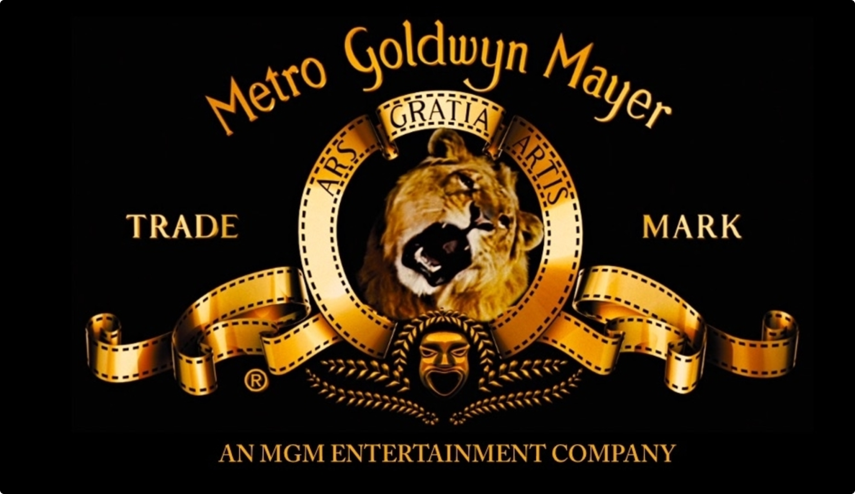 Image for Metro-Goldwyn-Mayer (MGM)